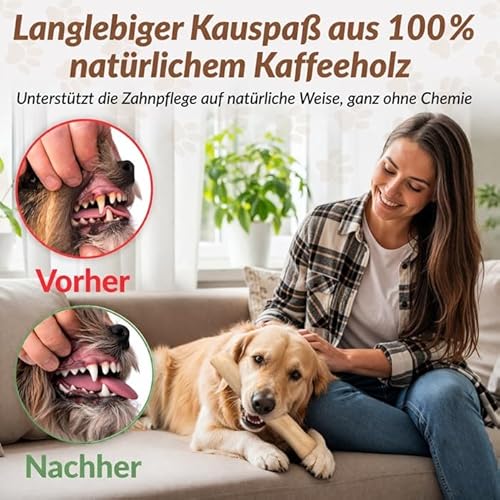Heygret Kauknochen aus Kaffeeholz für Hunde L - Natürliches Kauspielzeug zur Zahnpflege & Stressabbau - Langanhaltende Beschäftigung mit nachhaltigem Kauholz - Kaustab