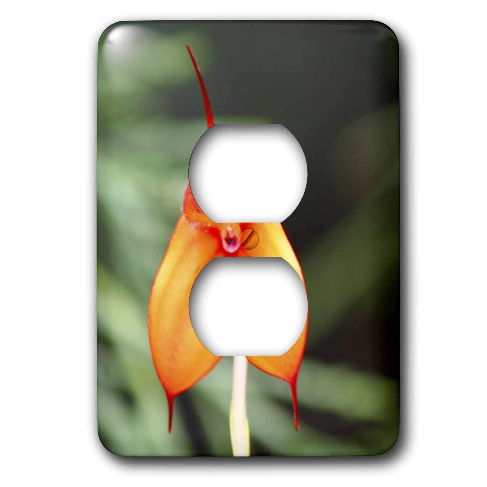 Bouchon de prise Orchid W 2 3dRose pour décorer le salon et sécuriser la chambre