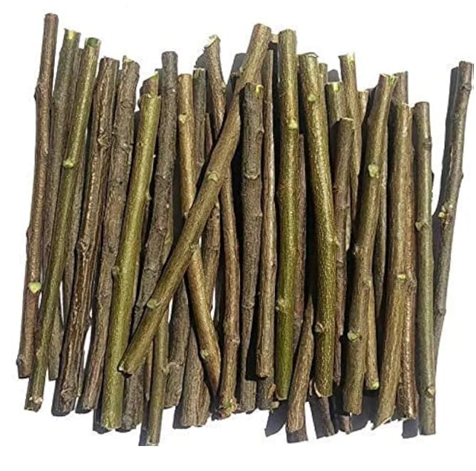 TEJAS Ayurvedic Natural Organic Neem Datun Toothbrush Nim Tree Twigs Chew Sticks for Brushing Teeth Removes Bad Breath, Relieve Tooth Ache - Pack of 20 Pieces (BRWAON GREEN, 20 PCS)-picture-24