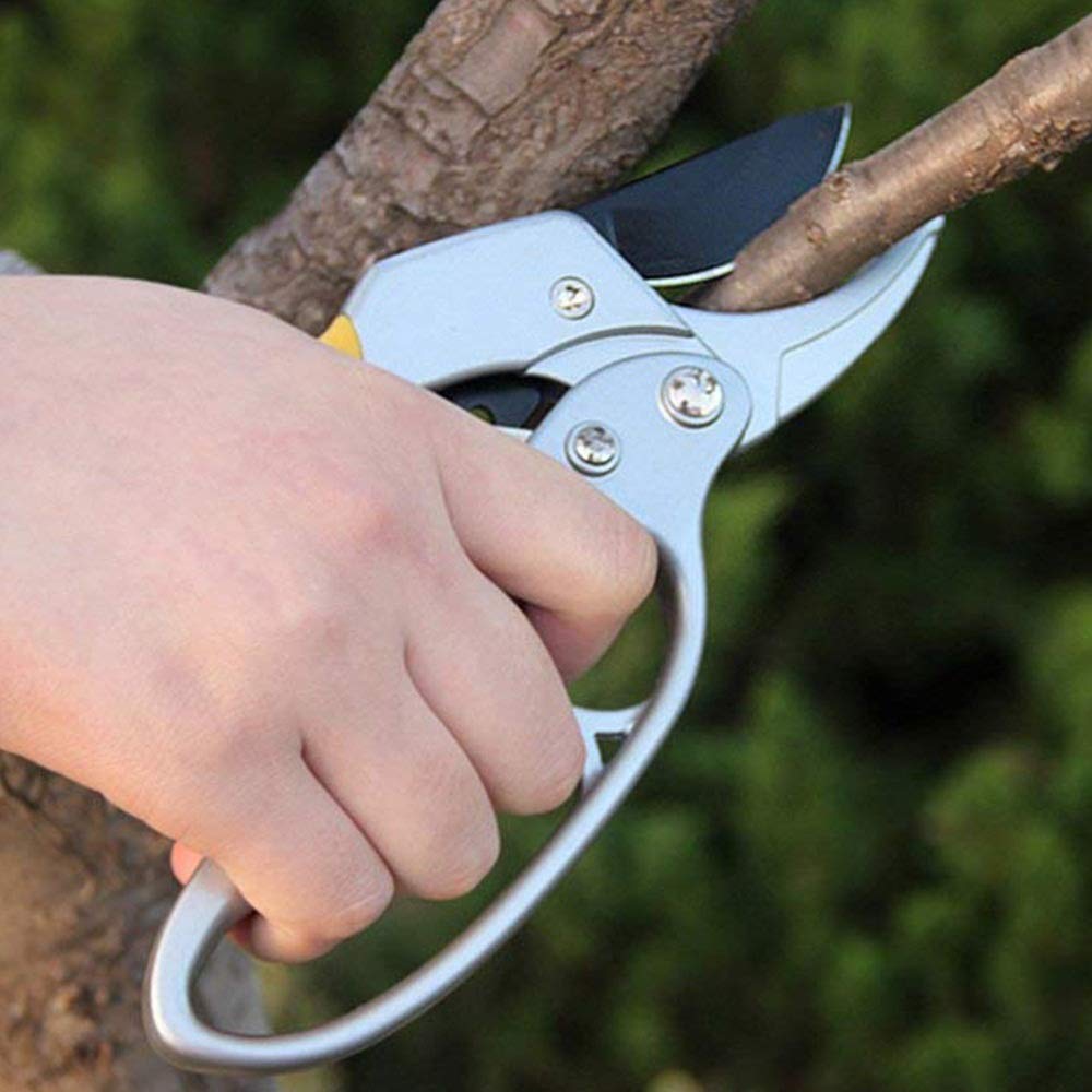 Podadora Tijeras de podar Tijeras de podar Trinquete Profesional Yunque Poda de jardín Tijeras de Acero al Carbono Rama Planta de jardinería Tijera Herramienta Manual para poda de jardín