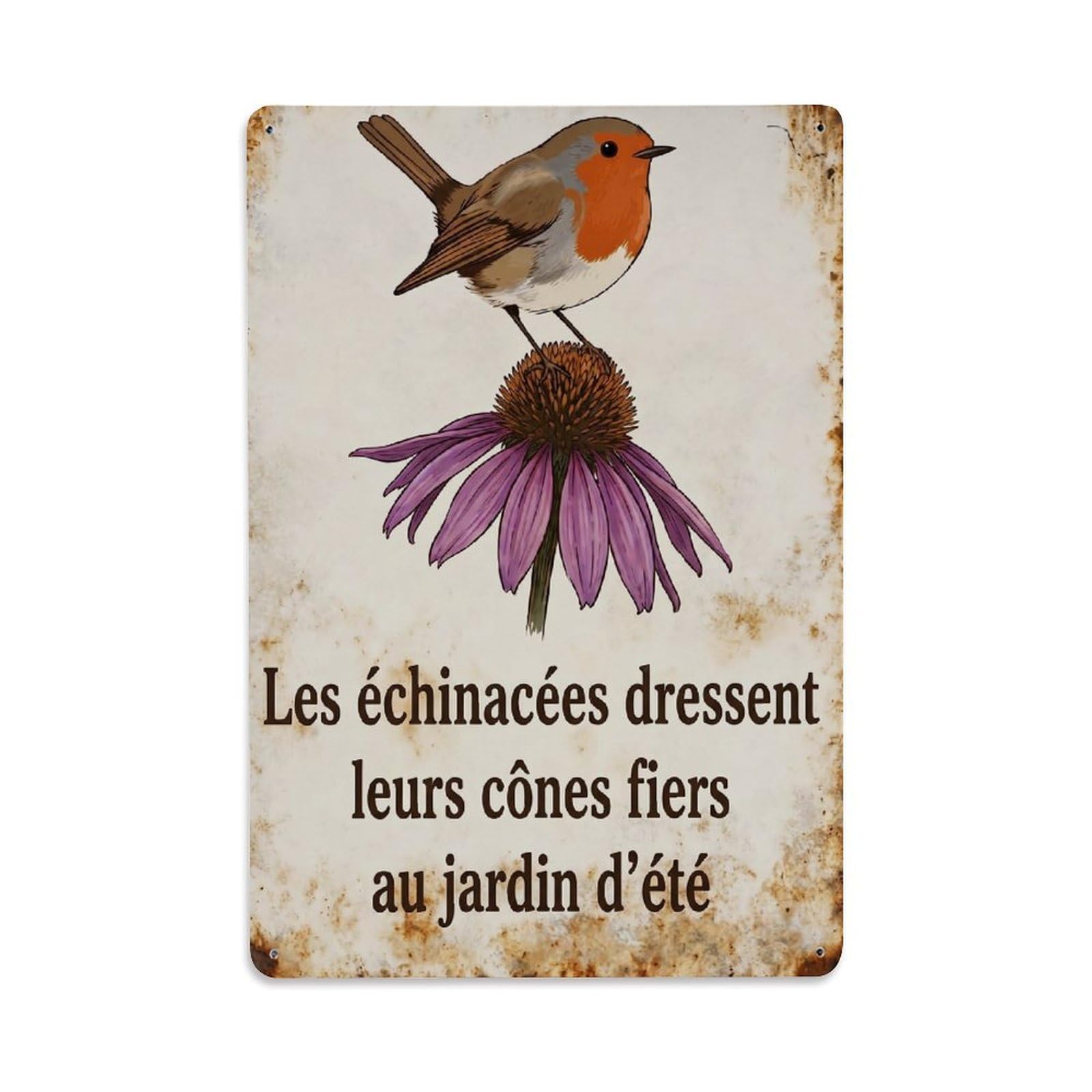 Robin Bird Garden Quote Coneflower Bold Metal Tin Sign
