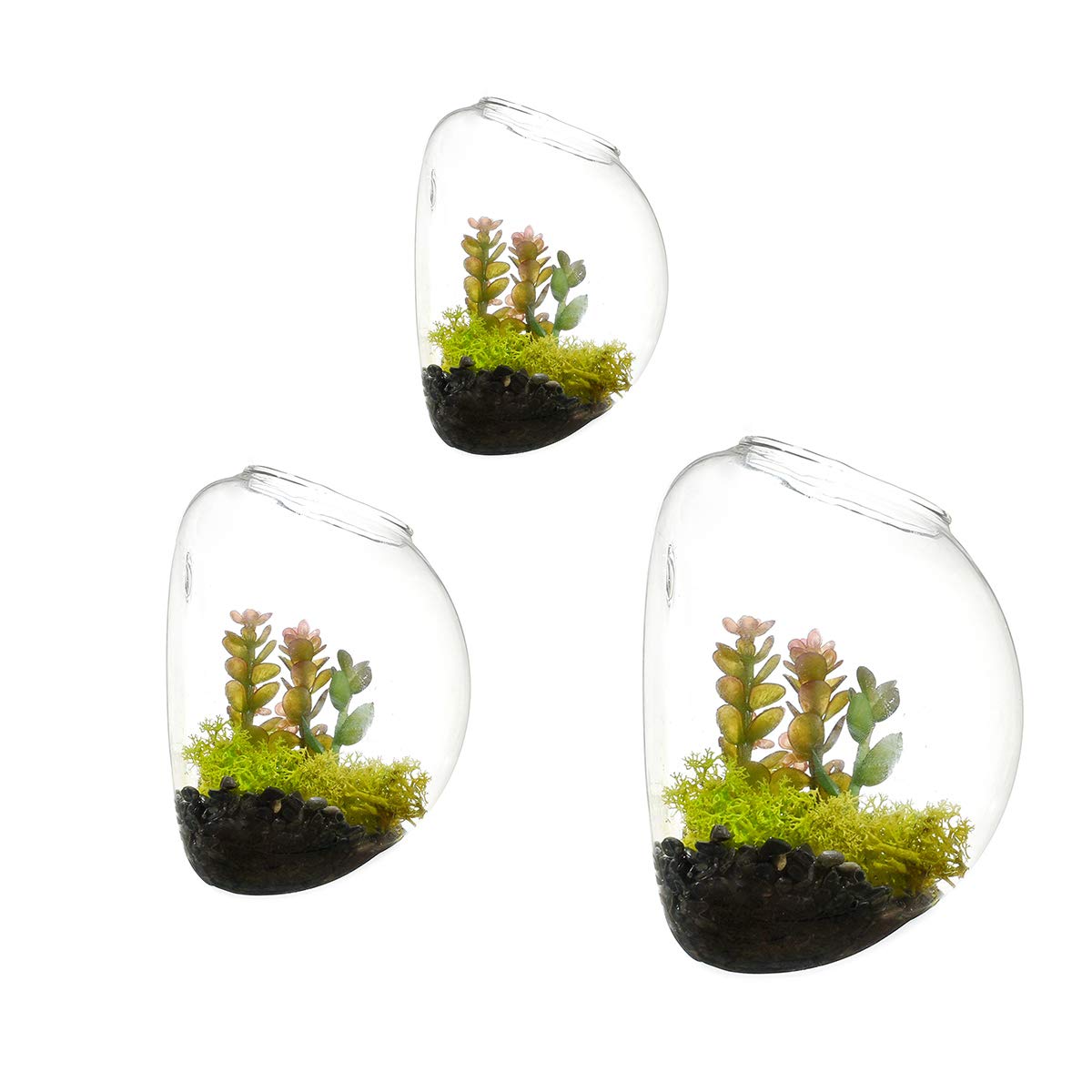 Set of 3 Wall Bubble Terrariums Glass Planters Wall Mounted Vase for Flowers Air Plants Planters Wall Decoration for Living Room and Bedroom