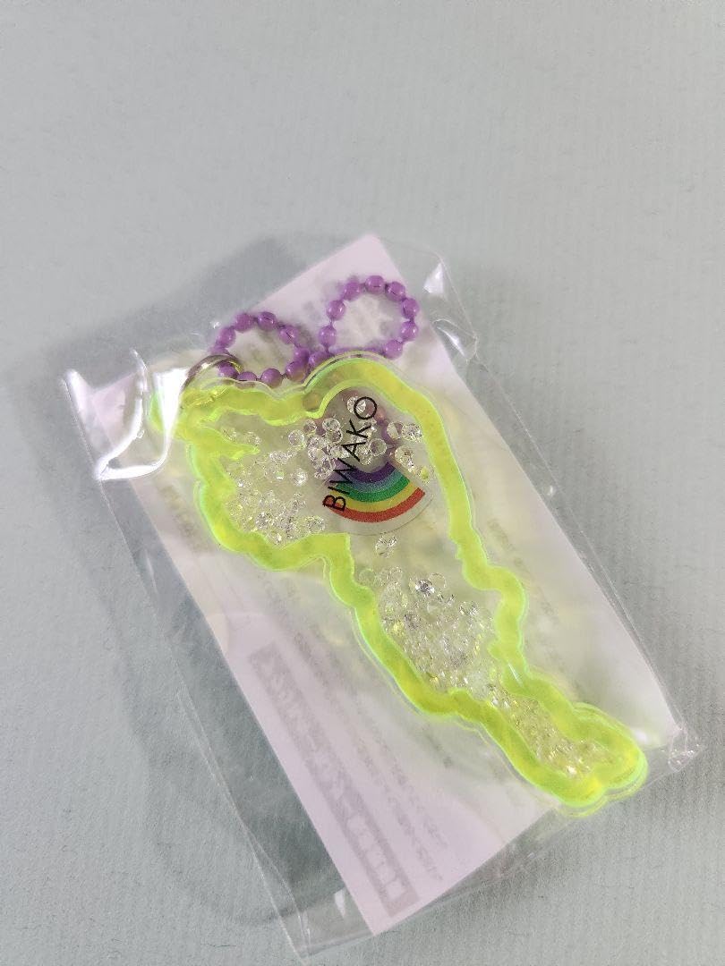 Amazon.co.jp: びわこキーホルダー 琵琶湖アクリルキーホルダー 箱館山