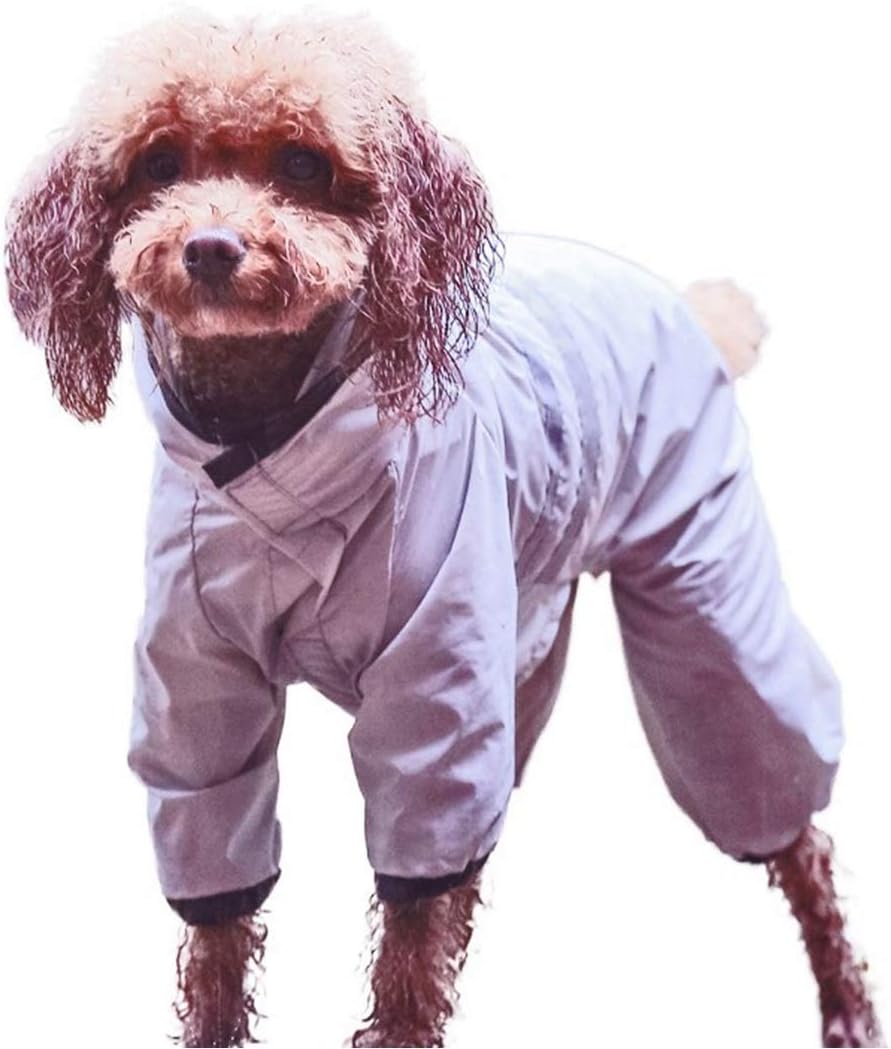tuta antipioggia per cani