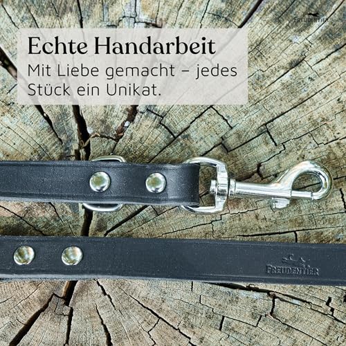 FREUDENTIER Hundeleine Leder 2m - Lederleine verstellbar - Führleine aus Fettleder für kleine, mittelgroße & große Hunde - Alsterufer Kollektion (Midnight, 16mm breit)