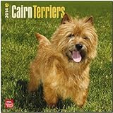 Cairn Terriers Calendar (Multilingual Edition)