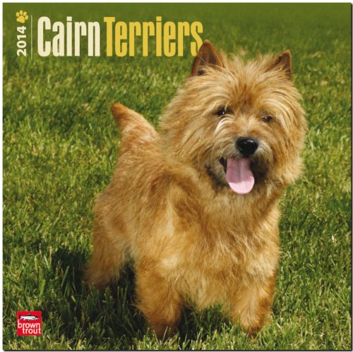 Cairn Terriers 2014 18 Month Calendar
