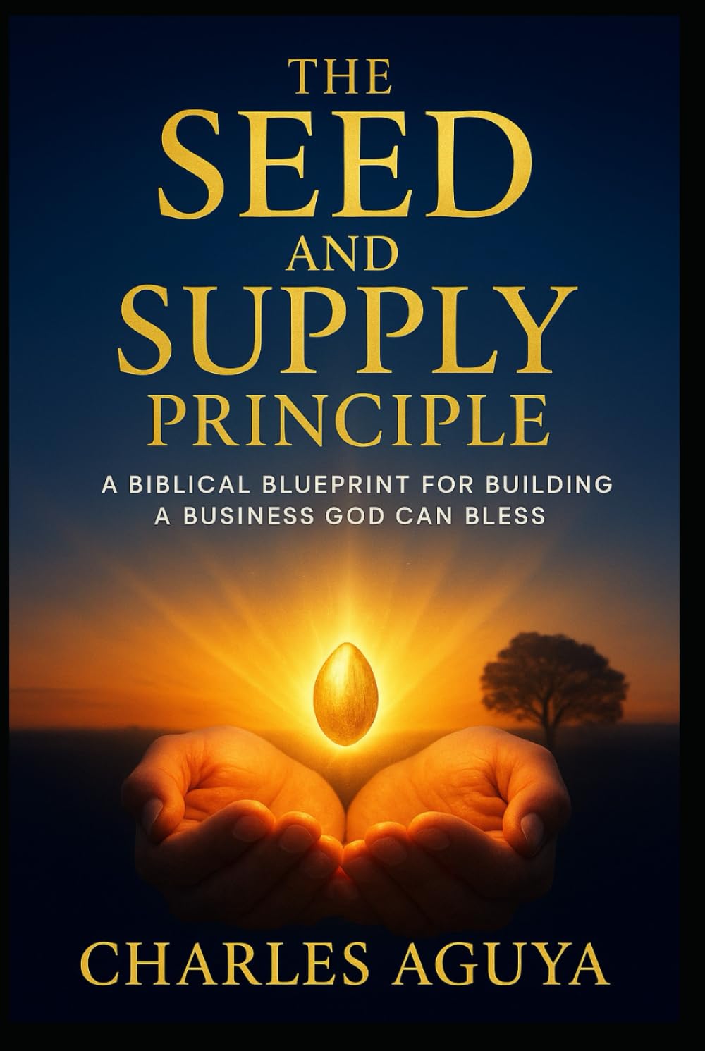 The Seed and Supply Principle: A Biblical Blueprint for Building a Business God Can Bless