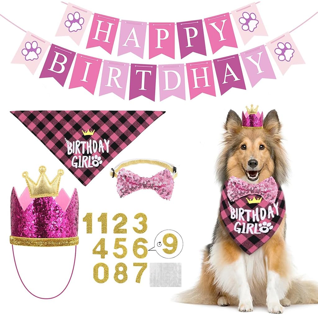 Qpets® Paw Patrol Birthday Decorations, Dog Birthday Decorations Set with Paw-Print Dog Birthday Banner / Dog Birthday Hat Bandana / Doggie Sequine Bow Ties, Blue (B0D5CJ9FV2) Amazon Price History, Amazon Price Tracker