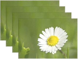 Promini manteles Individuales Resistentes al Calor, de poliéster Lavables, Antideslizantes, Lavables, para Cocina, Comedor, Cocina, Comedor, Juego de 4 Unidades