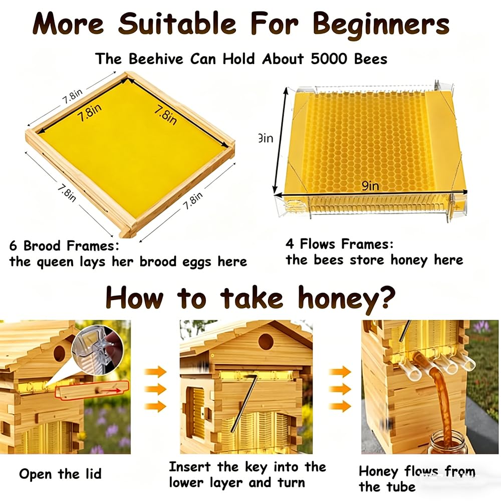 Kit de iniciación de colmena, caja de abejas de madera autofloreciente con marcos, bandejas de panal para principiantes y aficionados