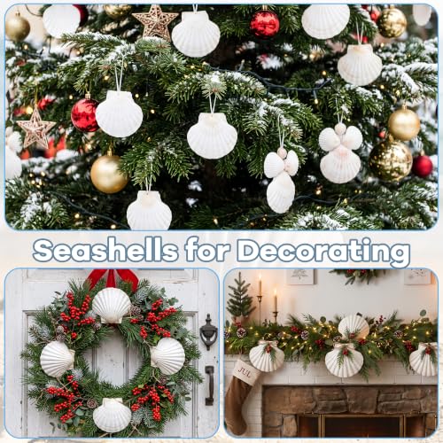 Image of Giftvest 20PCS Large Natural Seashells White Scallop Shells 4 inch-5 inch