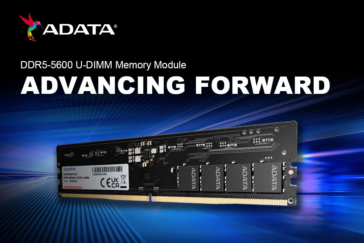 メモリー ADATA DDR5 5600MHz 16Gx2 AD5U560016G ADATA DDR5 16 Go 5600-46 Premier Tray Single Tray : Amazon.fr