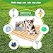 HMXLJJY 24 Stück Welpenspielzeug-Set, kleines Hundespielzeug, Welpen-Zahnspielzeug mit Aufbewahrungsbox, Welpen-Seilspielzeug, Kauspielzeug, Hundespielzeug für kleine und mittelgroße Hunde zum Spielen