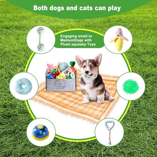 HMXLJJY 24 Stück Welpenspielzeug-Set, kleines Hundespielzeug, Welpen-Zahnspielzeug mit Aufbewahrungsbox, Welpen-Seilspielzeug, Kauspielzeug, Hundespielzeug für kleine und mittelgroße Hunde zum Spielen