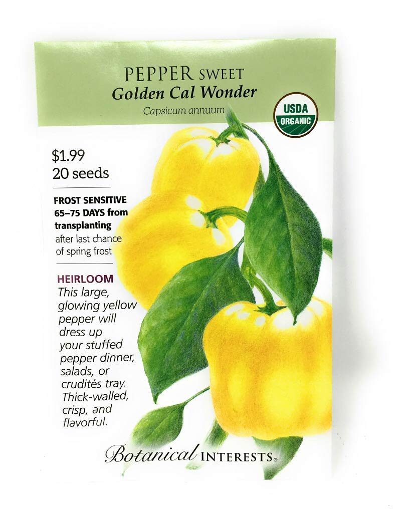 Organic Golden Sweet Pepper Seeds - Botan Variety For Home Gardening