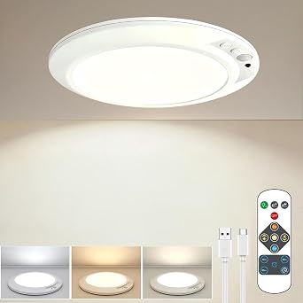 Rechargeable Motion Sensor Ceiling Light with Remote