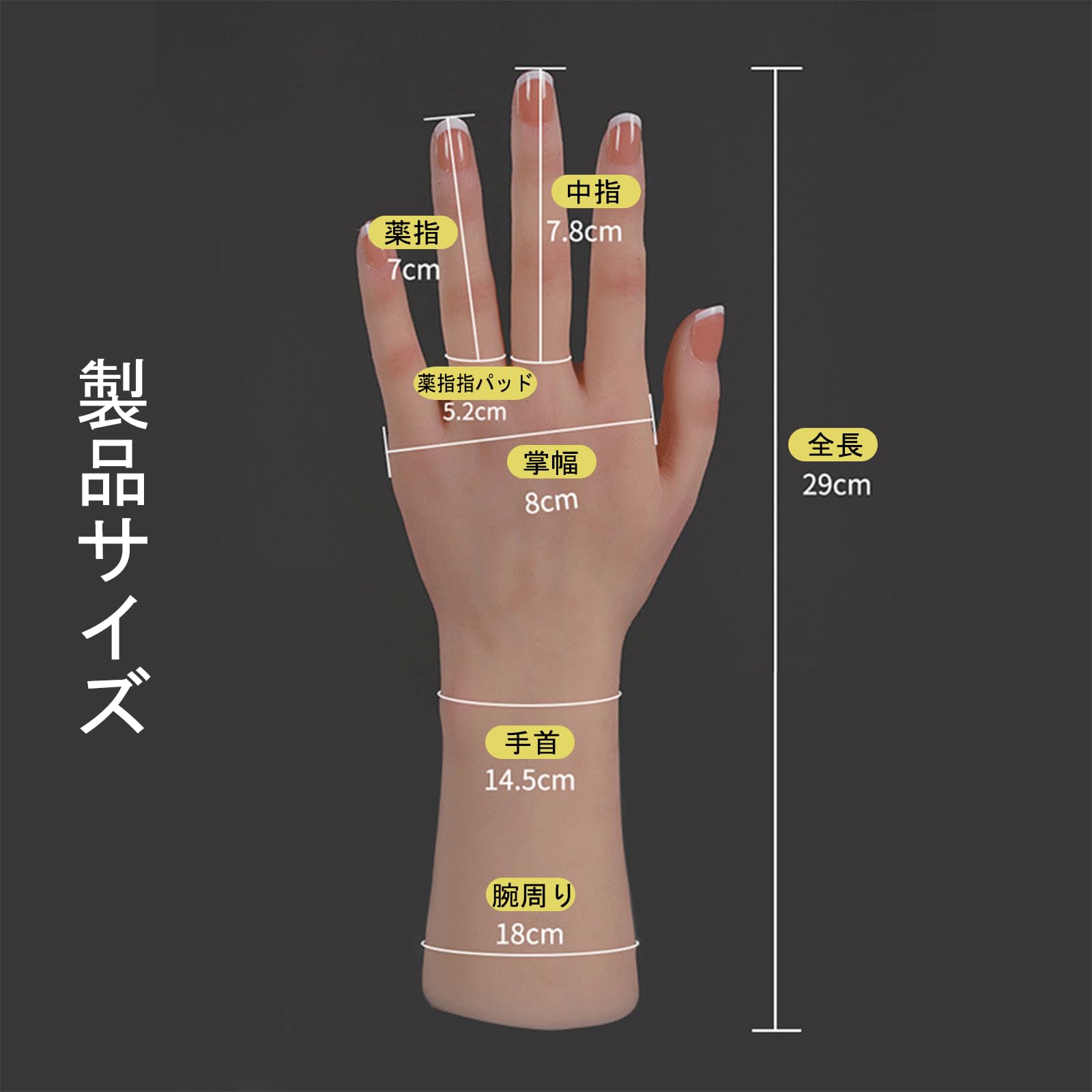 Amazon.co.jp: ハンドモデル 1:1 多関節マネキンハンド可動ジョイント 