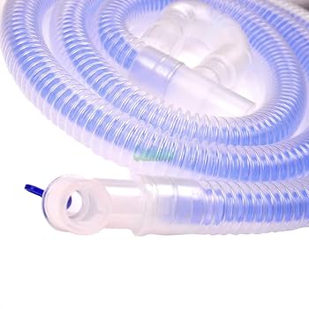 61SW2at4DSL._UF350,350_QL80_.jpg