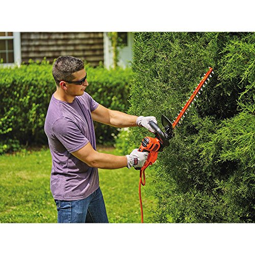 Black+Decker Electric Hedge Trimmer, 22-Inch (Beht350) #TOP4