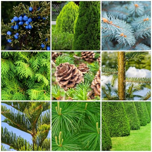 The Old Farmer's Almanac Evergreen Tree & Shrub Fertilizer Spikes, 10-4-10 (24 Spikes - 6.0 Lbs) Alternate view