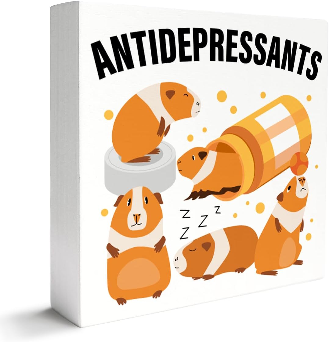 Guinea Pig Lover Decor Wooden Box Sign, Funny Desk Decoration for Home, Antidepressant, Lover Gifts for Women Men, Mom Dad Owner Gifts