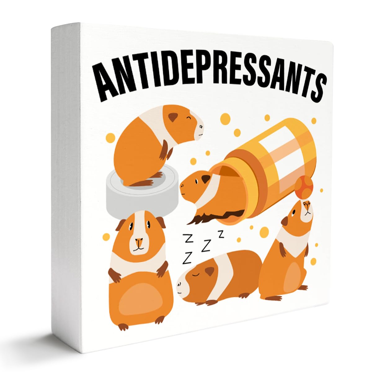 Guinea Pig Lover Decor Wooden Box Sign, Funny Desk Decoration for Home, Antidepressant, Lover Gifts for Women Men, Mom Dad Owner Gifts