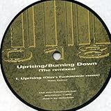Silvio Ecomo / D-Tune / Uprising (Remix)/Burning Down (Remix)