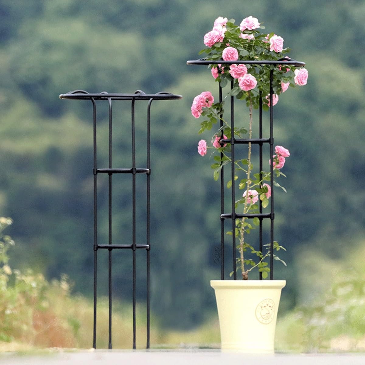 LTSRLL Obélisque De Jardin en Métal 70/100/130/160 Cm Cages Tuteurs Ø 22 Cm Support pour Plantes Grimpantes(70cm/2.3ft)