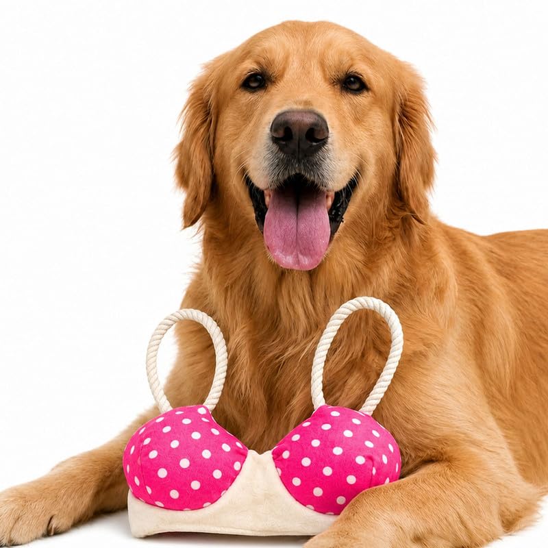 Image of Mutt of Course Braided Rope Dog Toy | Durable Chew & Tug Toy for Dogs | Interactive Cotton Rope Toy for Teeth Cleaning & Play