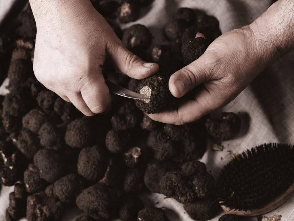 Coffret Gourmet | Sauce à la Truffe Blanche 180g + Sauce Tartufata à la Truffe Noire 180g | Condiments Italiens Raffinés pour Pâtes, Risottos & Viandes |Made in Italy