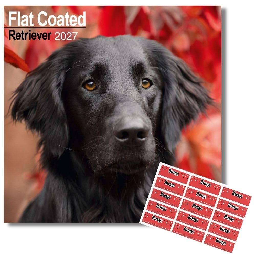 Avonside Flat-coated Retriever 2027 Calendar with Organisational Stickers, 16 Month Square Wall Calendar (Sept 2026 - Dec 2027), UK Planner for Dog Lovers, For Home or Office, 11.6 x 11.6 in