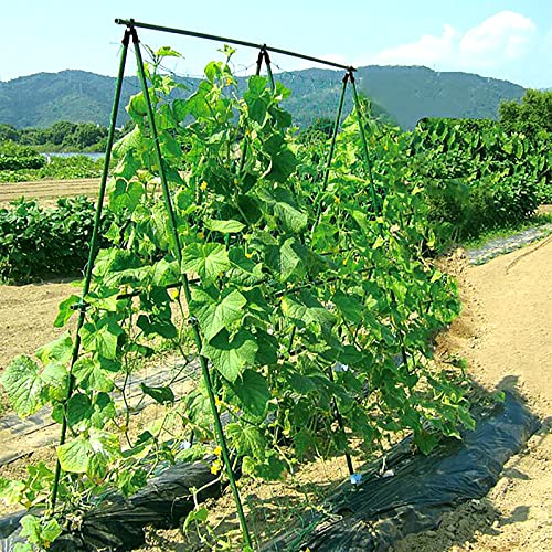 Docred Cucumber Trellis, A Frame Trellis Metal Garden Trellis For Climbing Plant Cucumber, Flowers, Melon, Vegetables #TOP7