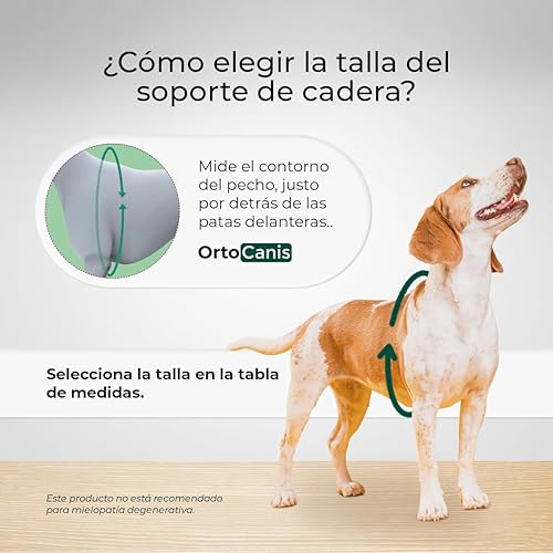 Miniatura 3 de Ortocanis - Soporte para la Cadera - Soporte para Perro - Dolor de Cadera, Displasia u Osteoartritis Localizada - Estabiliza y Reduce el Dolor -