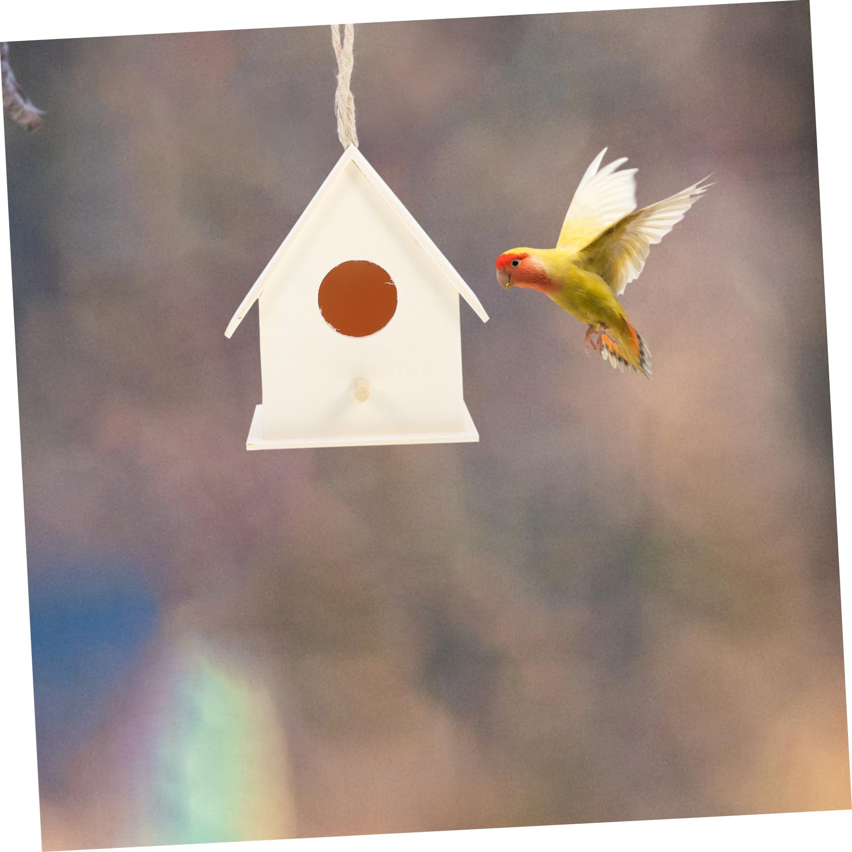 Amazon.co.jp: PHENOFICE 3個未塗装木製鳥の巣 ペンダント 吊り下げ式