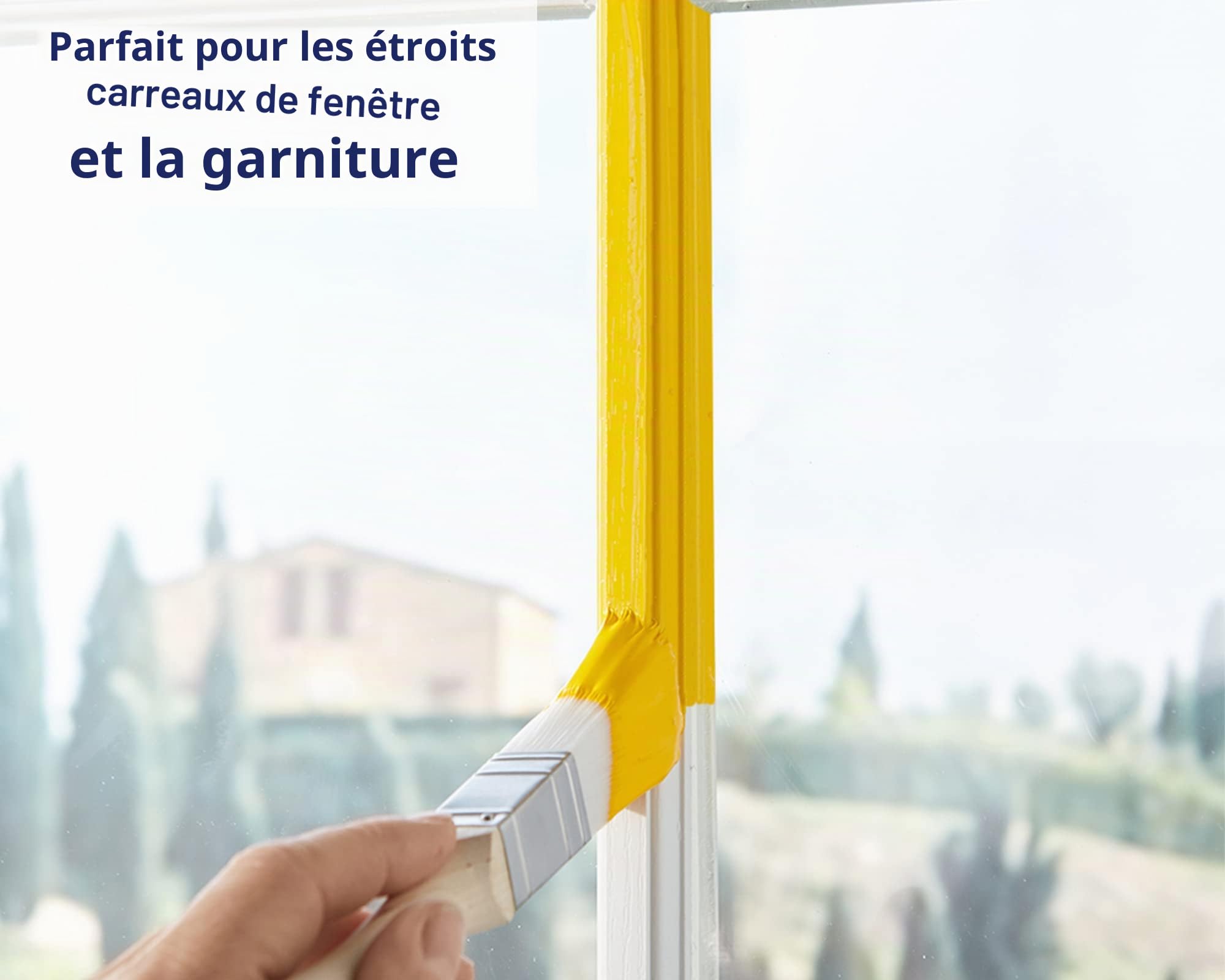 Lot de 5 pinceaux de qualité supérieure - Idéal pour Les Meubles ou Les travaux manuels Zibra!