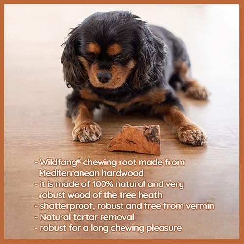 Miniatura 3 de Wildfang Raíz masticable de madera de brezo, grande  Juguetes masticables de madera sin astillas, para masticadores agresivos, juguetes naturales