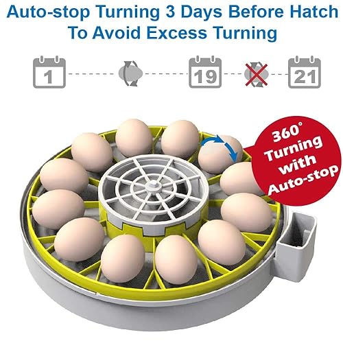 Miniatura 6 de Incubadora de 12 huevos KEBONNIXS con pantalla de humedad, control de calidad del huevo, girador automático de huevos para incubar pollos