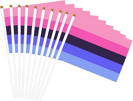 Lgbtq Omnisexual Pride Small Mini Flags Hand Held Flag Decoration For Party Parades Festival Celebration 10 PC