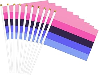 Lgbtq Omnisexual Pride Small Mini Flags Hand Held Flag Decoration For Party Parades Festival Celebration 10 PC