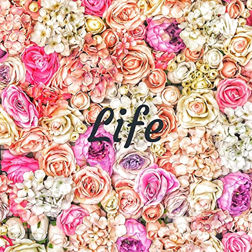 概念崩壊Life copertina