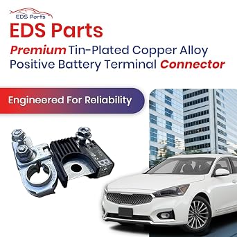 EDS Combo Pack 18790-01319 1879001319 180 Amp Battery Fusible Fuselink Fuse B w 91980-3X010 Positive Battery Terminal Compatible Replacement for Hyundai Kia Vehicles Including Tucson Optima Sorento