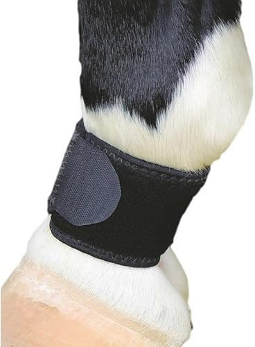 Miniatura 2 de Professionals Choice VenTECH Pastern Wraps Negro