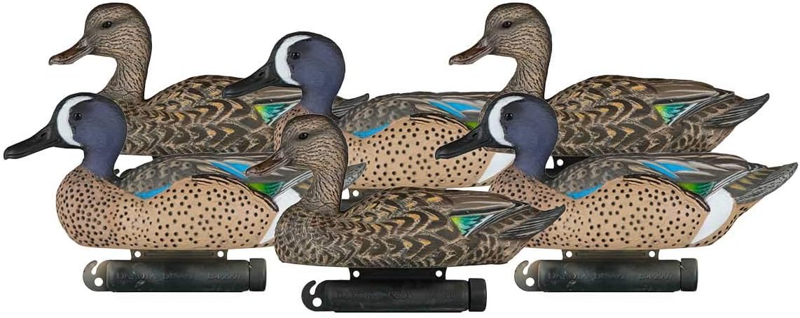 DAKOTA DECOYX-treme Bluewinged Teal