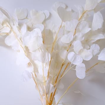 Dried White Round Eucalyptus Leaves, Real Preserved Flowers Branches, Real White Dried Floral Plant Pampas Leaves for Boho Wedding, Home Decor, Vase Flowers Bouquet, DIY Wreath Eucalyptus Leaf