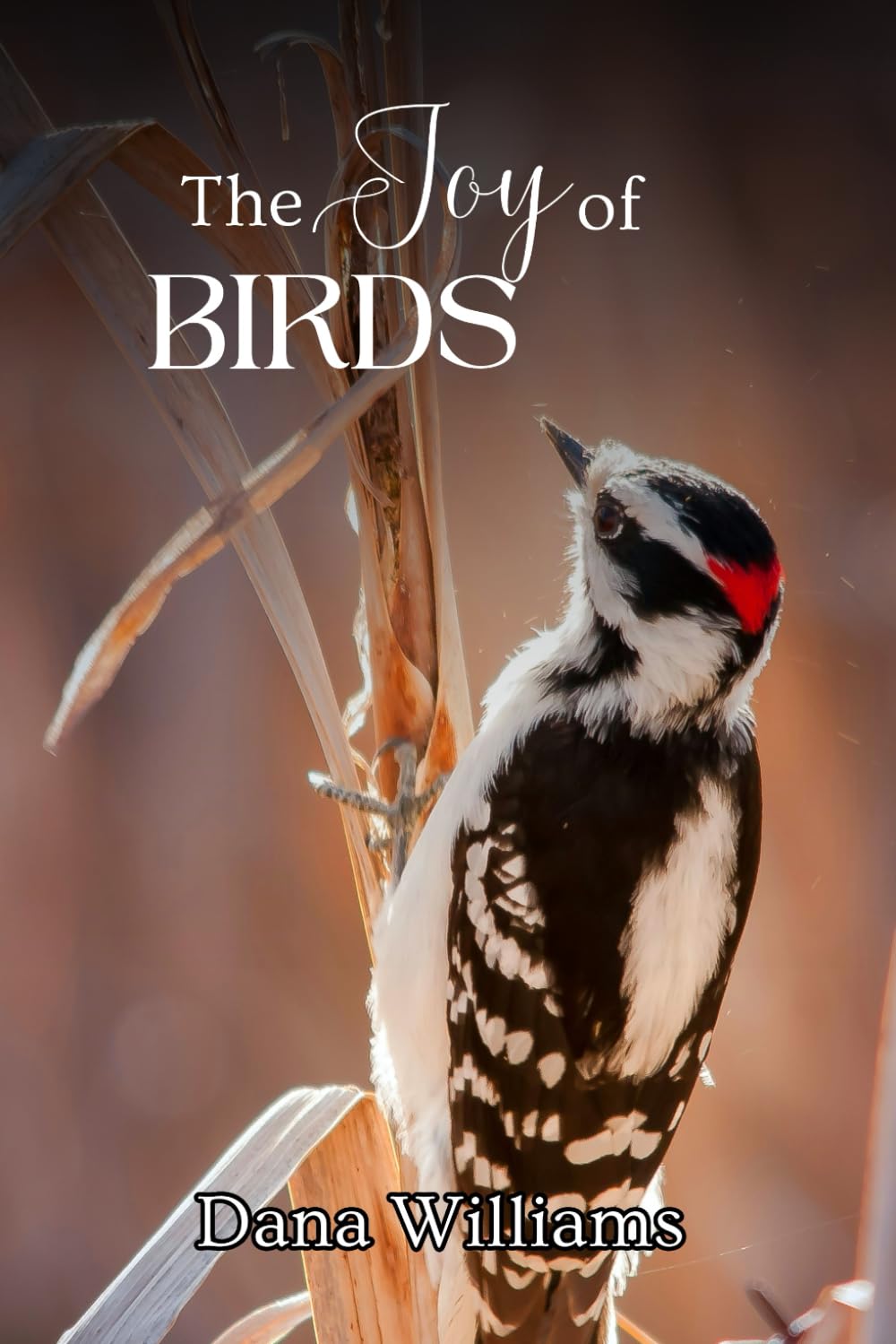 The Joy of Birds Picture Book: Beautiful Bird Photography for Alzheimer’s Patients and Seniors with Dementia | A Relaxing Gift Book to Encourage Contented Calm