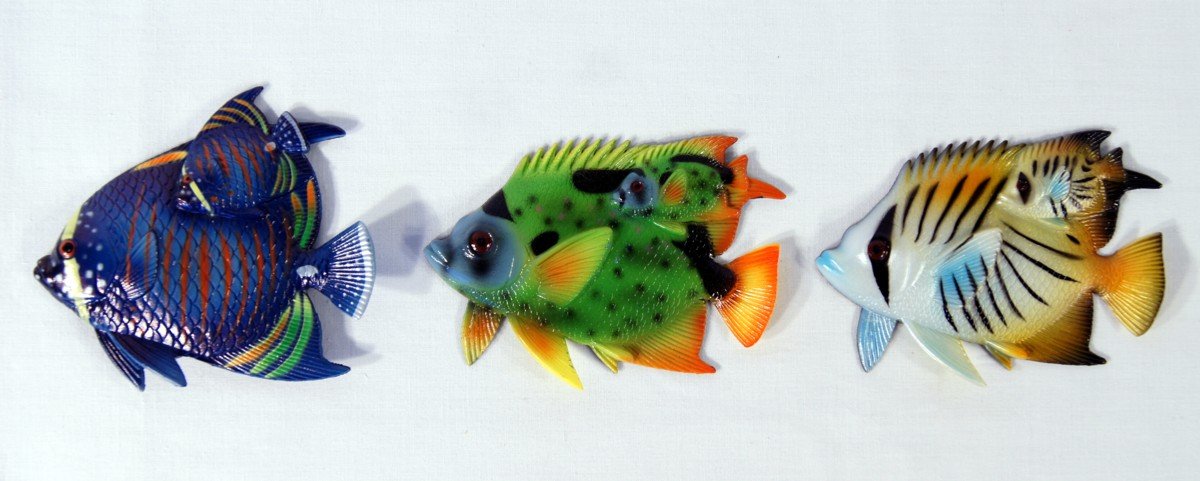 Amazon.com: Wholesale Pack Handpainted Twin Tropical Fish Magnet