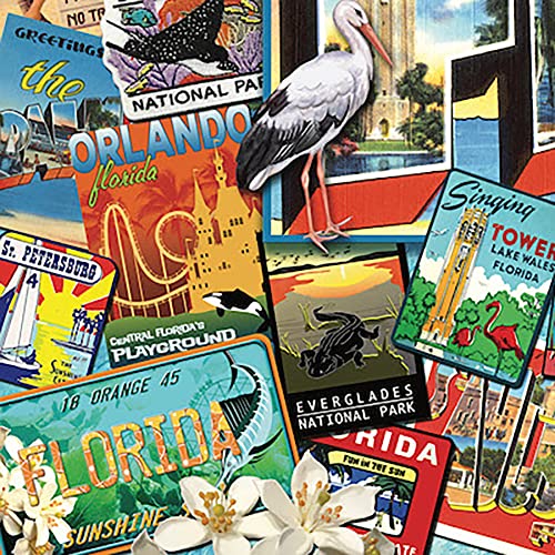 Hart Puzzles Greetings From Florida Jigsaw 1000 Pieces 24" X 30" X-Large #TOP3