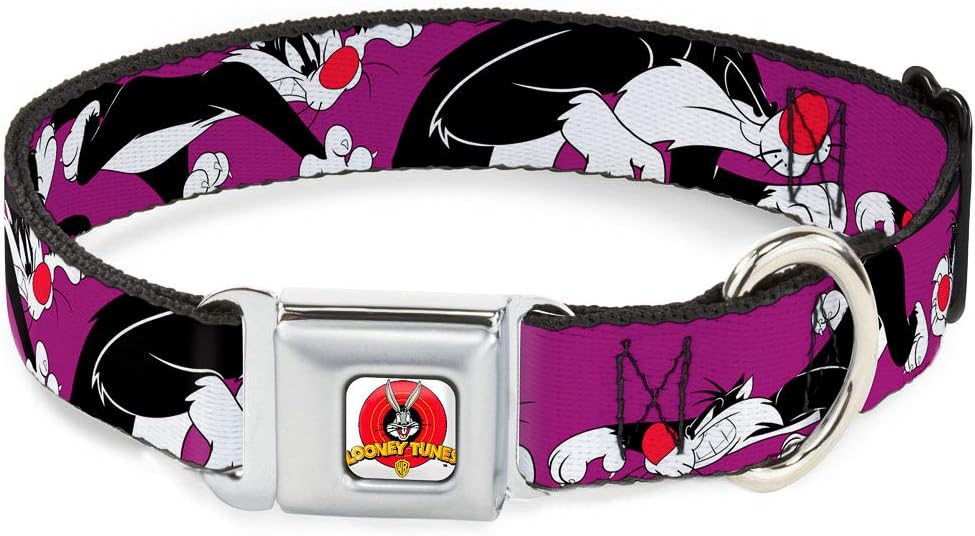 Dog Collar Seatbelt Buckle Sylvester The Cat Poses Purple 9 to 15 Inches 1.0 Inch Wide