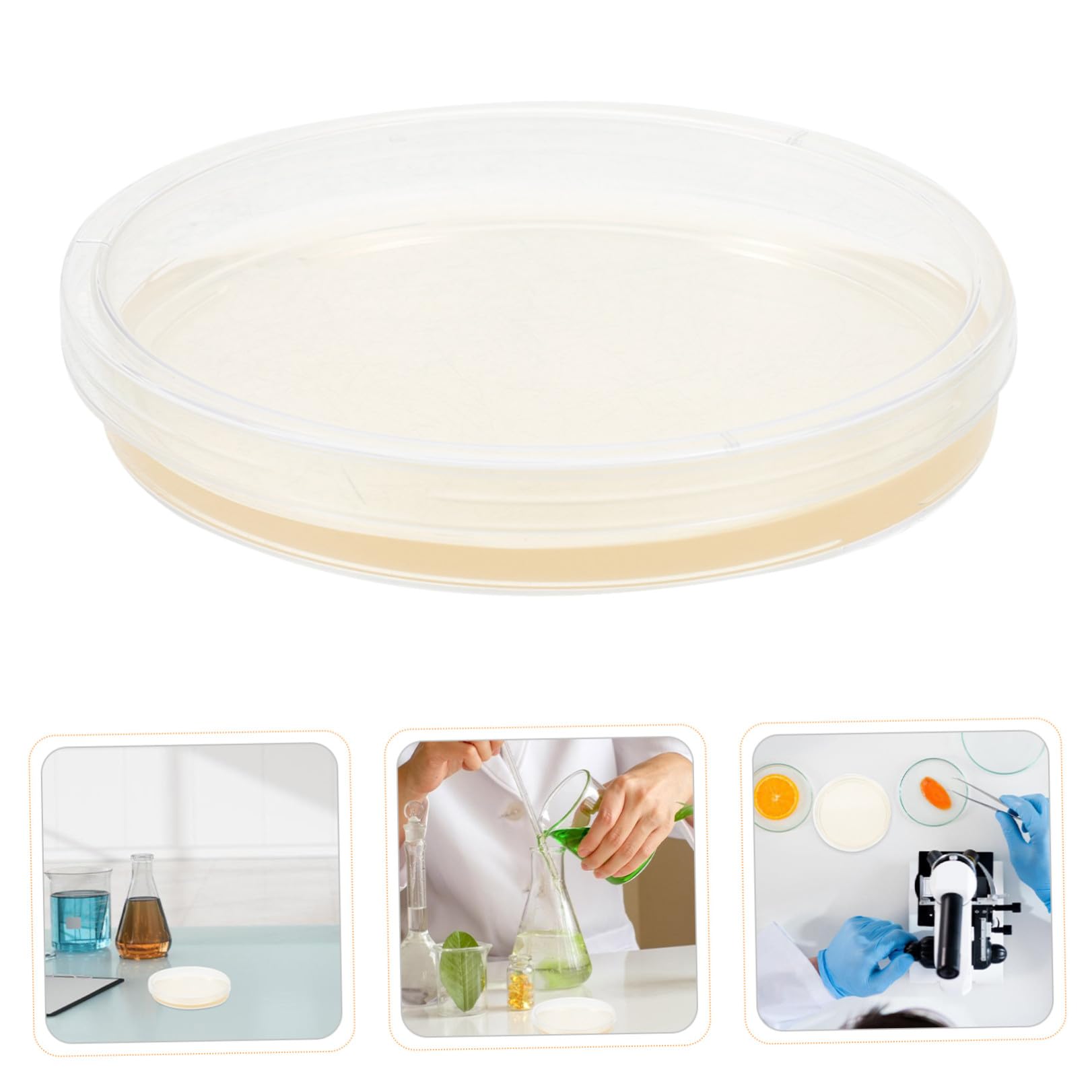20 Pezzi Piastre di Petri Rotonde in Plastica Agar Nutritivo da 9 Cm, Coperchi Ermetici per Crescita Stabile, per Esperimenti Scientifici in Laboratorio